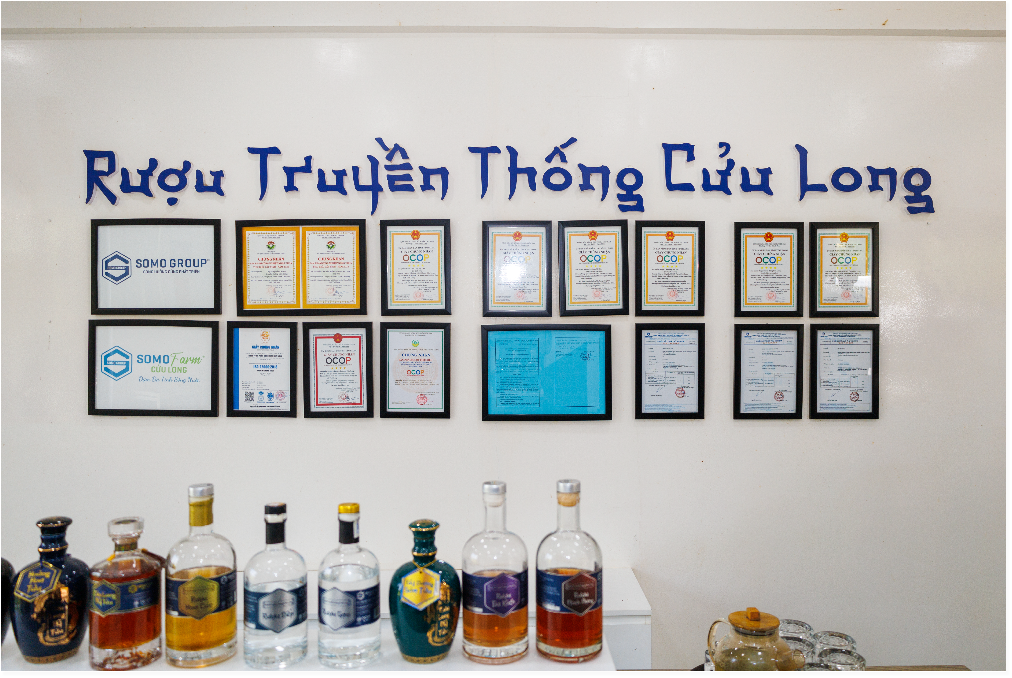 Sinh thái sông nước