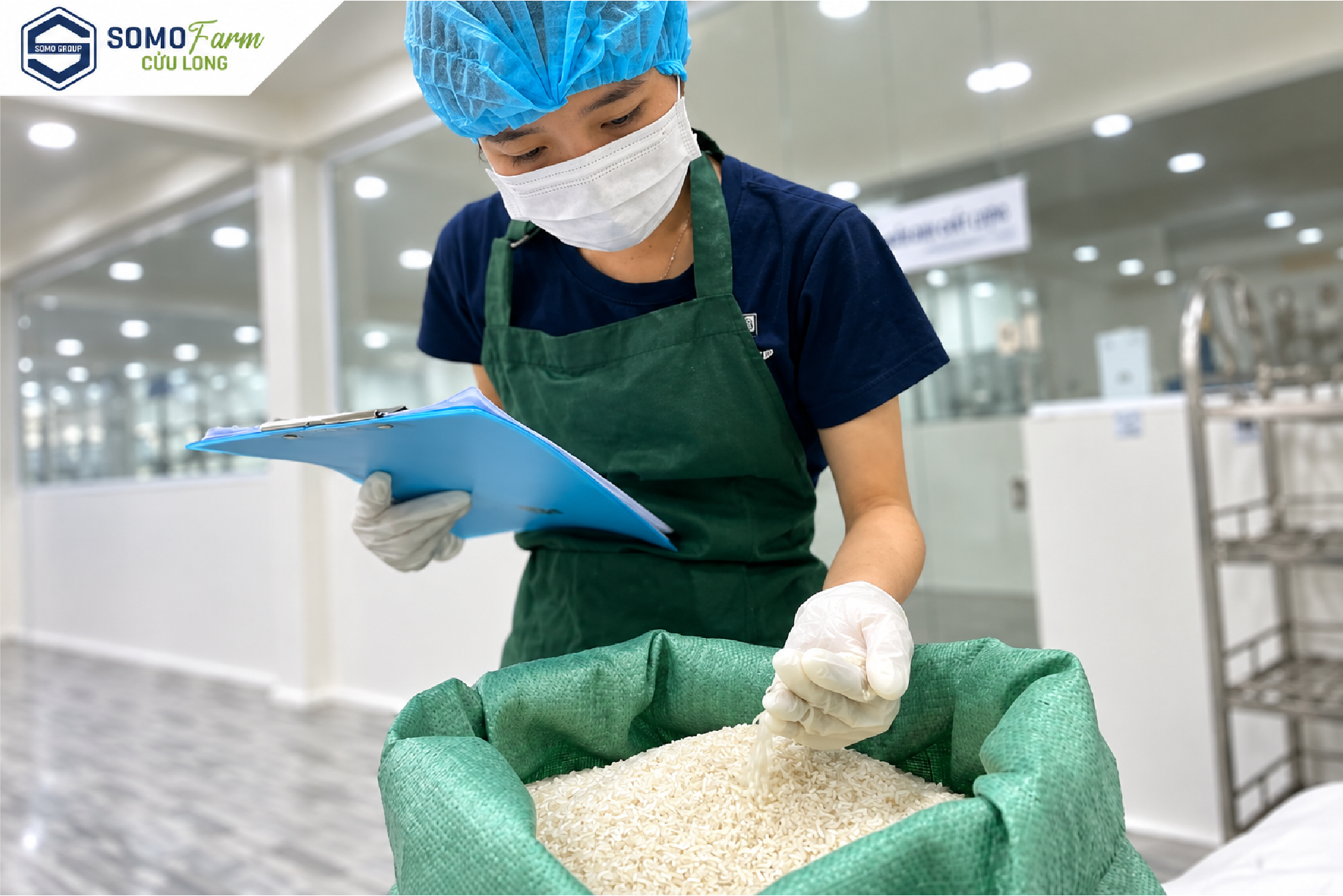 Chọn lọc nguyên liệu gạo nếp